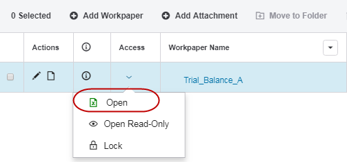 Screen capture showing how to open the workpaper using the Access column.